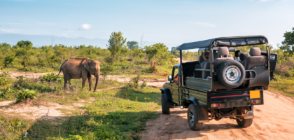 A group of people sitting inside a 4x4 while on safari and looking at a elephant .