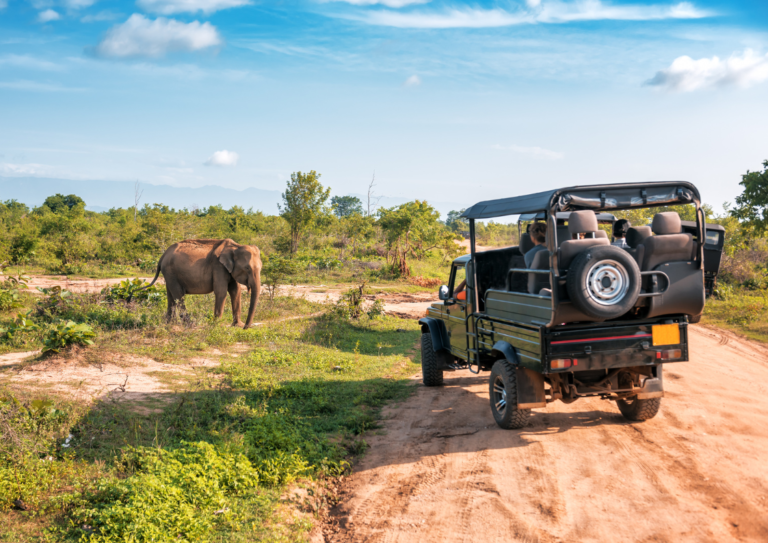 A group of people sitting inside a 4x4 while on safari and looking at a elephant .