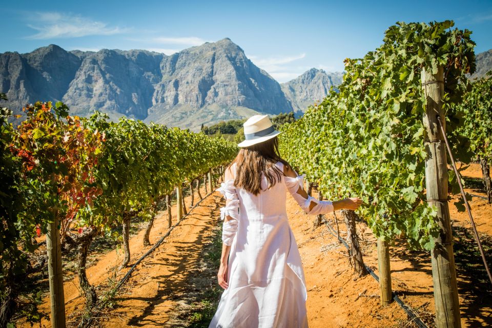A woman wearing a white dress walking thru vineyards