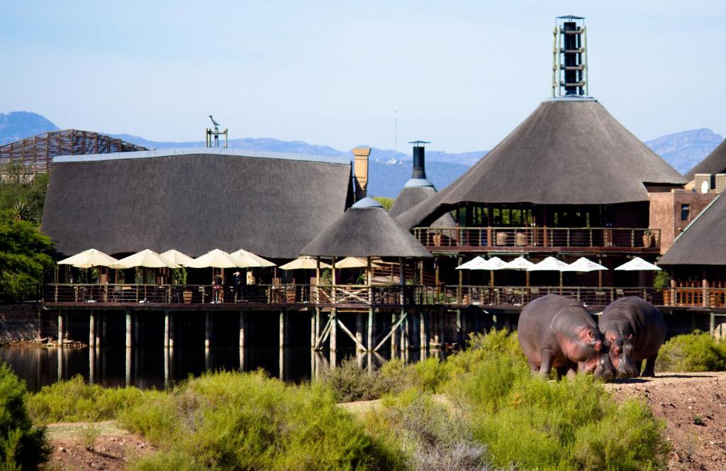 Holiday houses with Hippos next to them