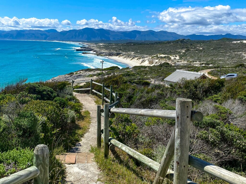 Gansbaai beach in Cape Town South Africa