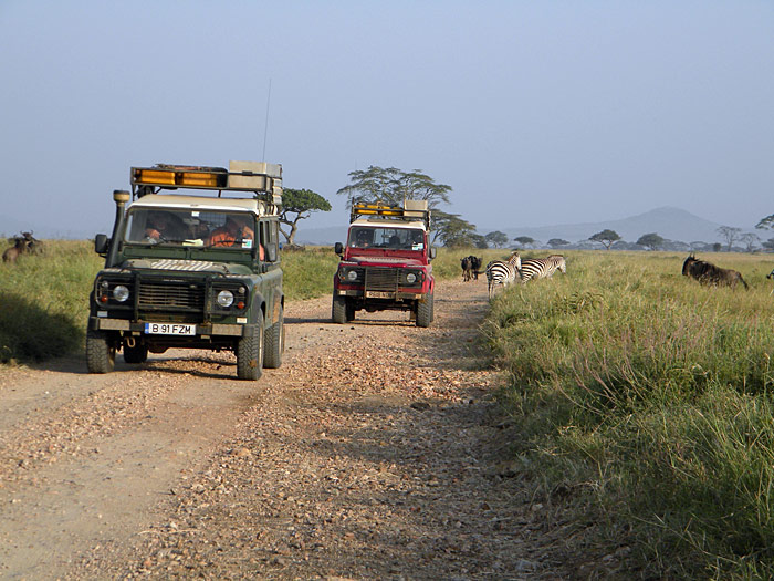 A group riding thru the wilderness surrounded by wild animals